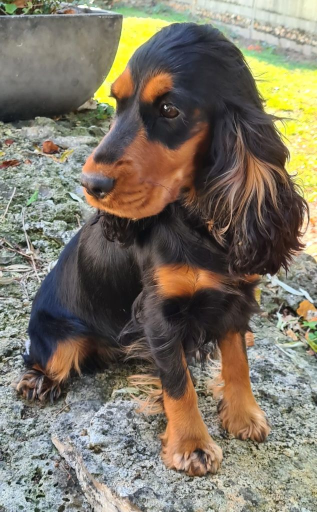 Venus Du Val De Ligéris