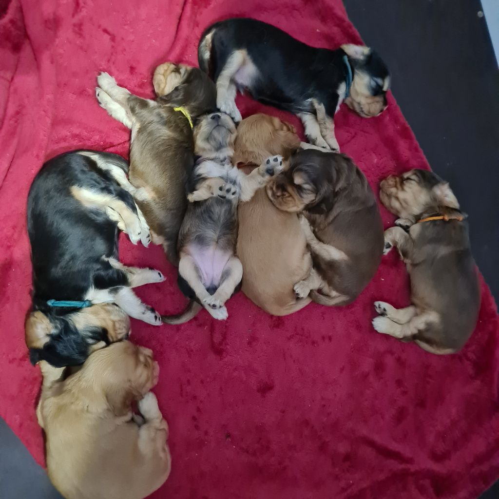 Bébés de Thésée